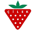 cilek