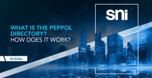 What is the Peppol Directory? How Does It Work?